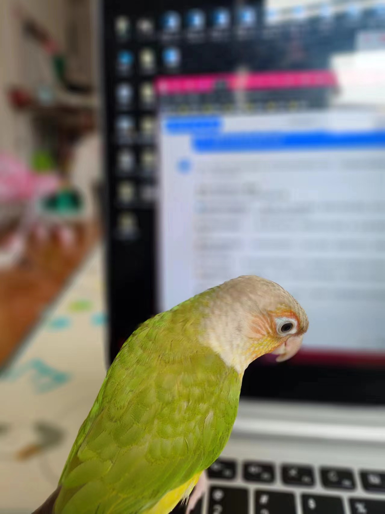 学习